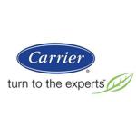 Carrier